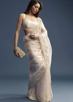 Beige Tissue Saree With Golden Floral Embroidery