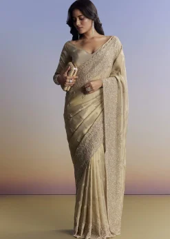 Beige Tissue Saree With Hand Embroidery With Cutdana And Sequins