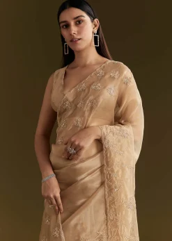 Beige Tissue Saree With Heavy Cutdana And Beads Embroidery