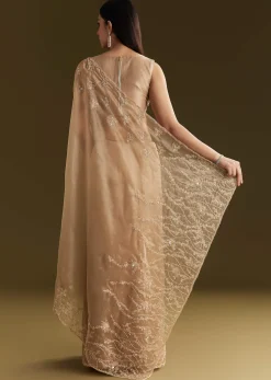 Beige Tissue Saree With Heavy Cutdana And Beads Embroidery