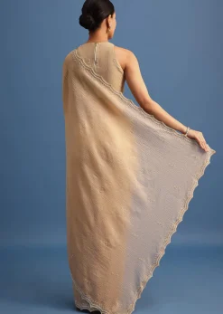 Beige Tissue Saree With Moti And Cutdana Border And Unstitched Blouse
