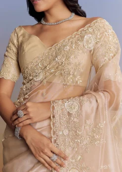 Beige Tissue Saree With Scallop Border And All Over Floral Embroidery