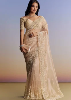 Beige Tissue Saree With Scallop Border And All Over Floral Embroidery