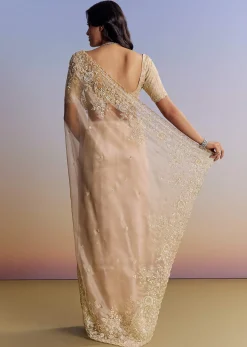 Beige Tissue Saree With Scallop Border And All Over Floral Embroidery