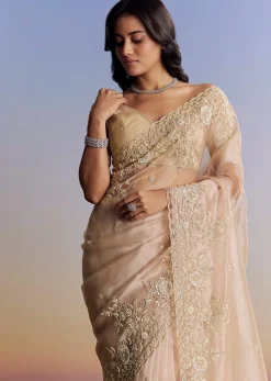 Beige Tissue Saree With Scallop Border And All Over Floral Embroidery