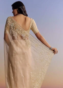 Beige Tissue Saree With Scallop Border And All Over Floral Embroidery