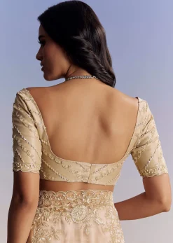 Beige Tissue Saree With Scallop Border And All Over Floral Embroidery