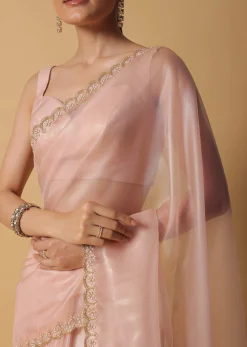 Beige Toned Foil Saree In Tissue With Cut Dana Embroidered Borders