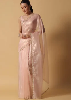 Beige Toned Foil Saree In Tissue With Cut Dana Embroidered Borders