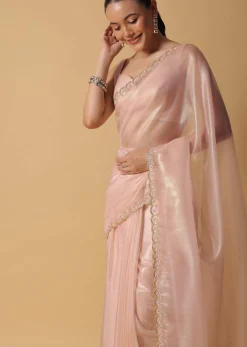 Beige Toned Foil Saree In Tissue With Cut Dana Embroidered Borders