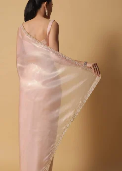 Beige Toned Foil Saree In Tissue With Cut Dana Embroidered Borders