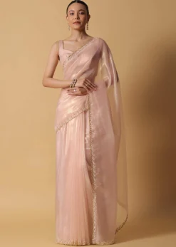 Beige Toned Foil Saree In Tissue With Cut Dana Embroidered Borders