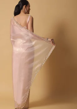 Beige Toned Foil Saree In Tissue With Cut Dana Embroidered Borders