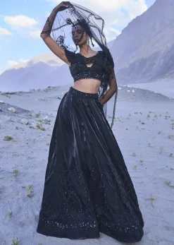 Black Embroidered Organza Lehenga Set With Cape