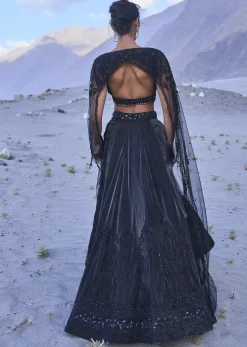 Black Embroidered Organza Lehenga Set With Cape