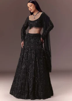 Black Organza Lehenga Set