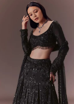 Black Organza Lehenga Set
