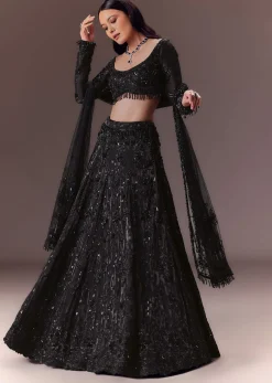 Black Organza Lehenga Set