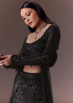 Black Organza Lehenga Set