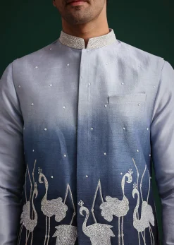 Blue Ombre Zardosi Work Jacket Set With Flamingo Motifs