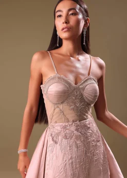 Blush Pink Embroidered Organza Gown