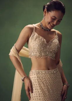 Blush Pink Fish Cut Sequin Lehenga Set