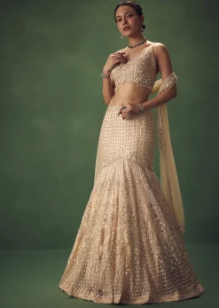 Blush Pink Fish Cut Sequin Lehenga Set