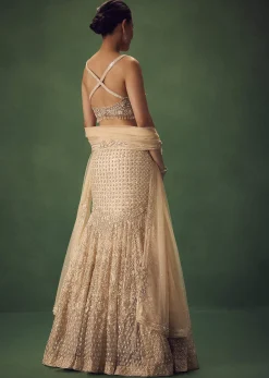 Blush Pink Fish Cut Sequin Lehenga Set
