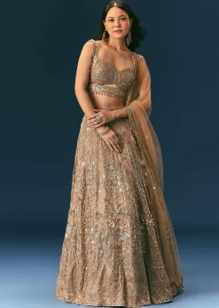 Bronze Organza Lehenga Set With Hand Work