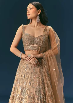 Bronze Organza Lehenga Set With Hand Work