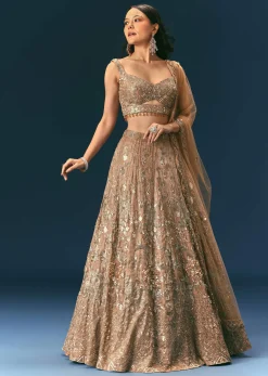 Bronze Organza Lehenga Set With Hand Work