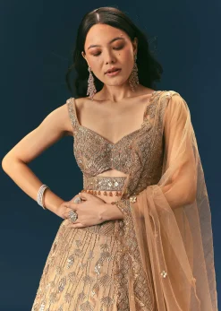 Bronze Organza Lehenga Set With Hand Work