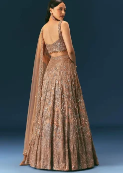 Bronze Organza Lehenga Set With Hand Work