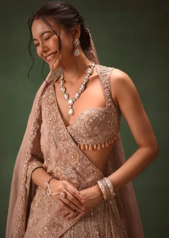 Bronze Self Embroidered Lehenga Set With Two Dupattas