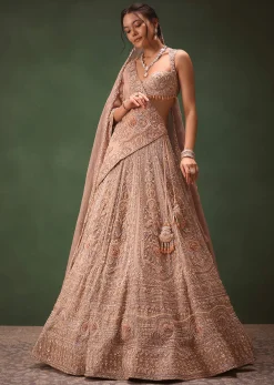 Bronze Self Embroidered Lehenga Set With Two Dupattas