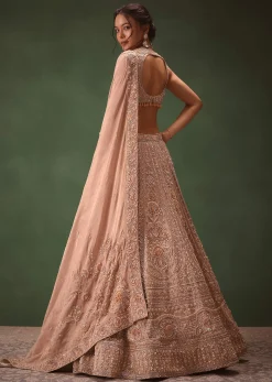 Bronze Self Embroidered Lehenga Set With Two Dupattas