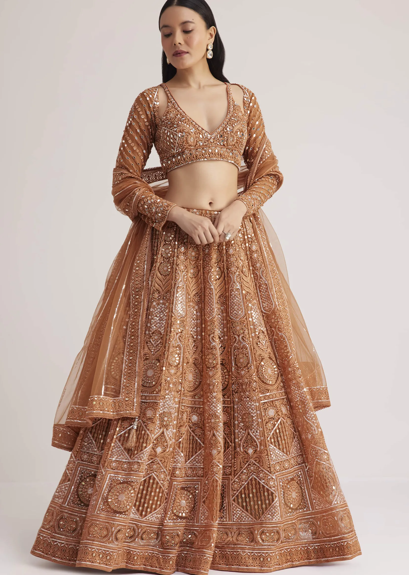 Brown Embellished Lehenga Set With Detailed Embroidery
