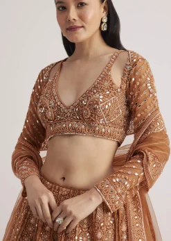 Brown Embellished Lehenga Set With Detailed Embroidery