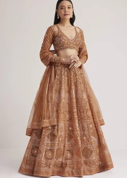 Brown Embellished Lehenga Set With Detailed Embroidery