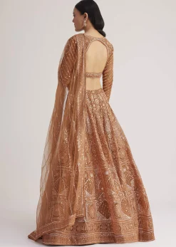 Brown Embellished Lehenga Set With Detailed Embroidery
