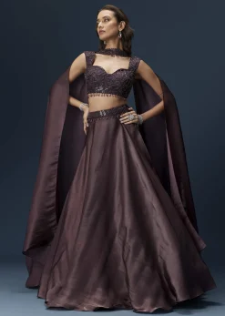 Brown Organza Lehenga Set With Sleeveless Sweetheart Blouse And Dupatta