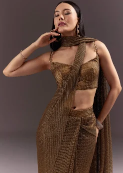 Brown Pre Stitched Crystal Embroidered Saree