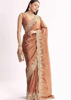 Brown Rust Crush Tissue Saree With Gota Zari And Beads Embroidery