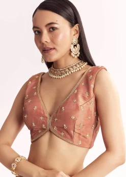 Brown Rust Crush Tissue Saree With Gota Zari And Beads Embroidery