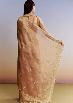 Brown Rust Tissue Saree With Moti Beads And Sequins