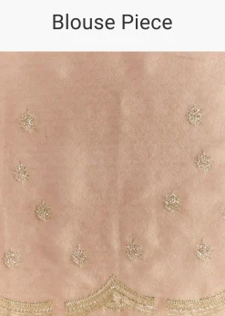 Brown Rust Tissue Saree With Moti Beads And Sequins