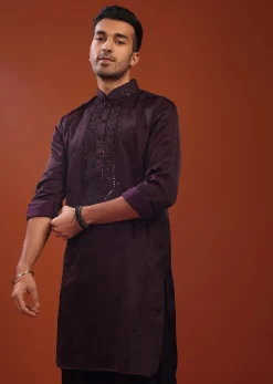 Burgundy Purple Festive Kurta In Mini Silk With Lucknowi Embroidery