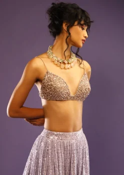 Champagne Blouse With Heavy Embroidery Detailing And Plunge Neckline