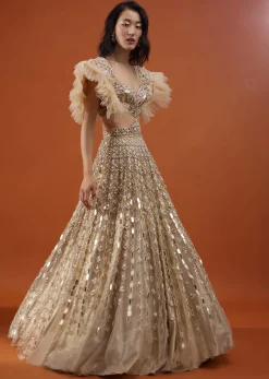 Champagne Gold Angelic Net Gown With Mirror Work And Ruffle Sleeves - NOOR 2022