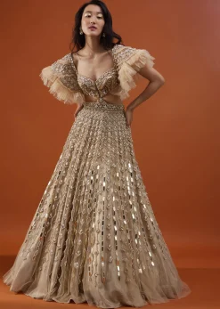 Champagne Gold Angelic Net Gown With Mirror Work And Ruffle Sleeves - NOOR 2022